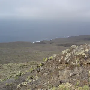 San Clemente Island, SBBG Research 2007