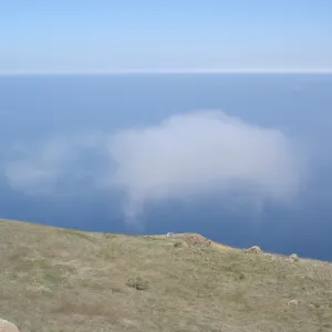 San Clemente Island, SBBG Research 2007