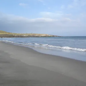 Horse Beach Cove, San Clemente Island, SBBG Research 2005