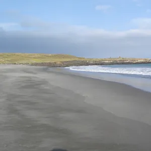 Horse Beach Cove, San Clemente Island, SBBG Research 2005