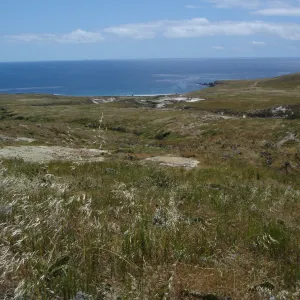 San Clemente Island, SBBG Research 2005