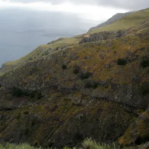 San Clemente Island, SBBG Research 2005