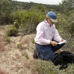 La Purisima, SBBG Research 2006 survey for Vandenberg monkeyflower, Dieter Wilken