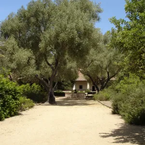 La Purisima Mission, SBBG Research 2006