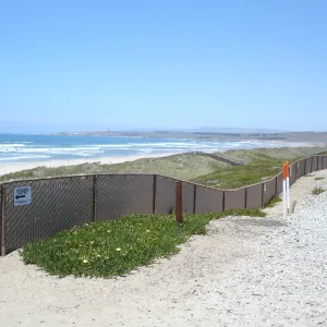 railroad at Surf beach, Vandenberg, SBBG Research 2005