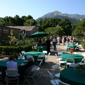 Trees of Santa Barbara book signing 2005