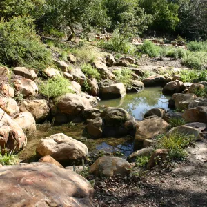 new ponds in the Discovery Garden, Arroyo Section