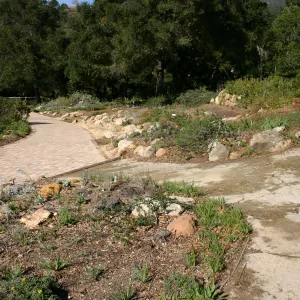 Meadow View garden, pavered path at top of Meadow