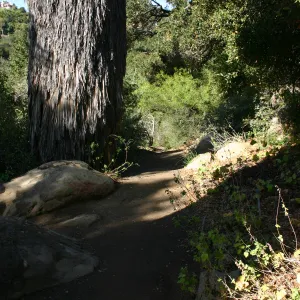 pathway through the Desert Section, top of Campbell Trail (not pavered)