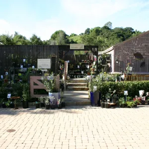 Garden Growers Nursery, paver stones in the Courtyard