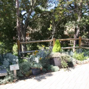 Visitor Entrance to the Garden