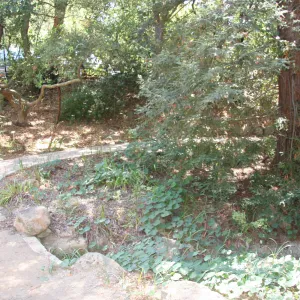 Arroyo Section
