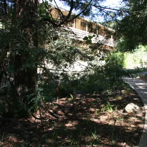 Arroyo Section