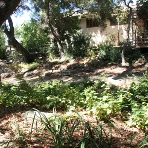 Arroyo Section
