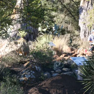 Irrigation construction in the Desert Section