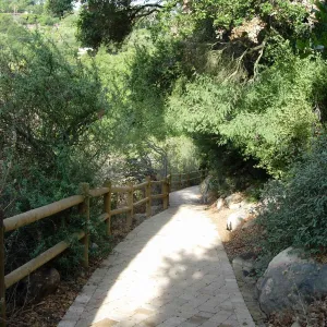 Accessible paving installed on the Campbell Trail, SBBG 2006 Projects
