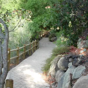 Accessible paving installed on the Campbell Trail, SBBG 2006 Projects