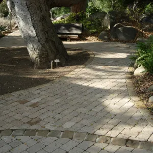 Accessible paving installed on the Campbell Trail, SBBG 2006 Projects