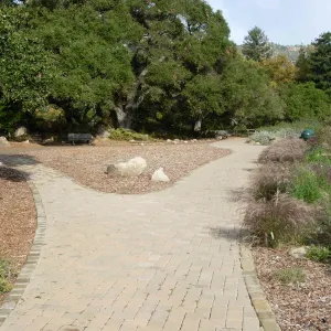 Accessible paving installed alonf the Meadow, SBBG 2006 Projects