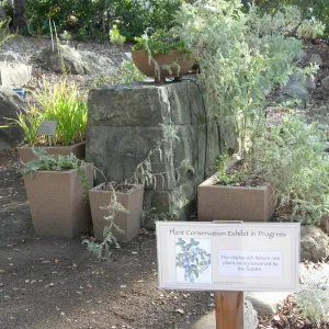 new Plant Conservation display garden, SBBG 2006 Projects