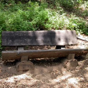 Elizabeth Rapp Bench, P 27 (Bench #43)