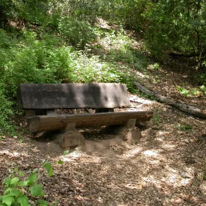 Elizabeth Rapp Bench, P 27 (Bench #43)