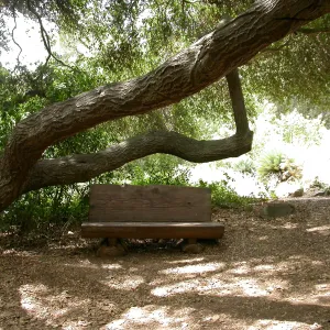 Ellen Hansen Bench, M 25 (Bench #42)