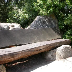 Mr. and Mrs. William Stratton Porter Bench (bench #64)
