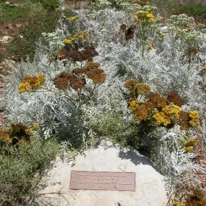 Wheeler Bench Plaque (Bench #62)