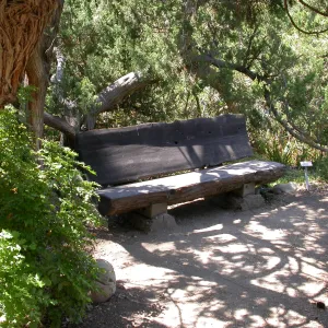 Cloud Bench (Bench #3)