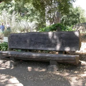Davis Bench (Bench #65)