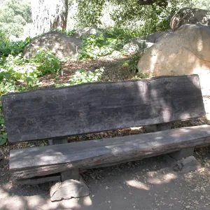 Davis Bench (Bench #65)