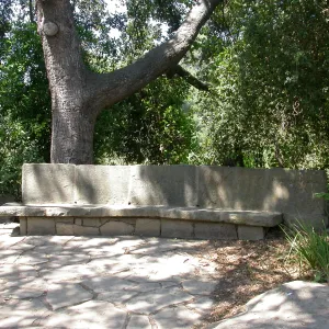Palme Bench (Bench #20)