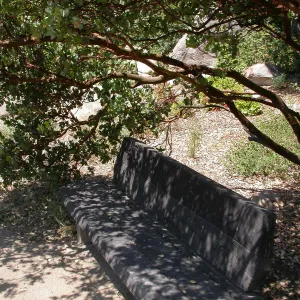 Howland Bench (Bench #9)