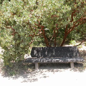 Howland Bench