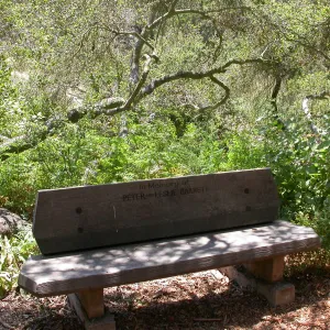 Barnett Bench (Bench #11)