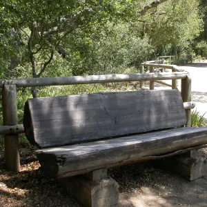 Gest Bench (Bench #14)