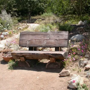 Wood Bench below Dudleya Display (Bench #17)