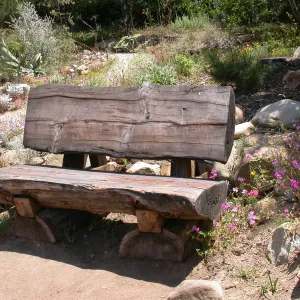 Wood Bench below Dudleya Display (Bench #17)