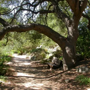 Kipnis Bench in the Arroyo (Bench #59)