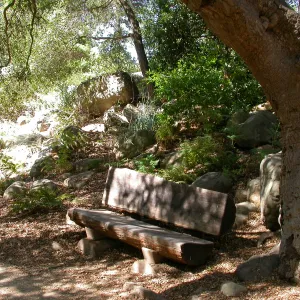 Kipnis Bench in the Arroyo (Bench #59)