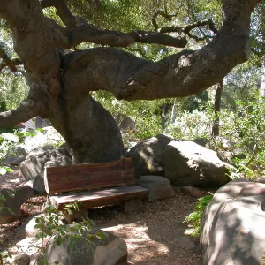 Weininger Bench in Manzanita Section (Bench #52)