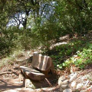 Overeem Bench (Bench #44)