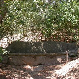 Kenward Bench (Bench #45)