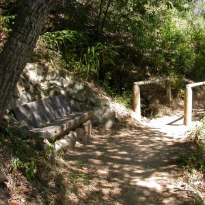 Easton Bench in the Island Section (Bench #46)