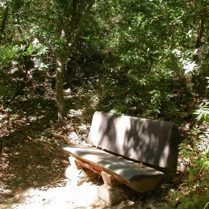 Coleman Bench (Bench #40)