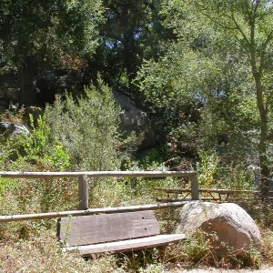 Oatman Bench on Campbell Trail, Picnic Area (Bench #23)