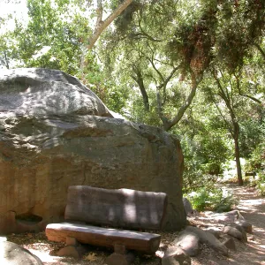 Margolis Bench (Bench #37)