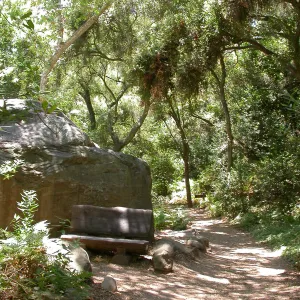 Margolis Bench (Bench #37)