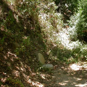Taylor Bench above Mission Dam (Bench #31)